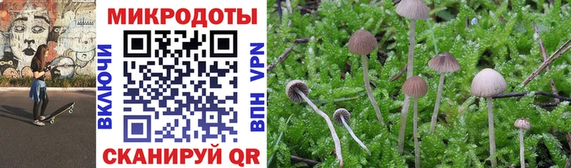Галлюциногенные грибы мицелий Баксан